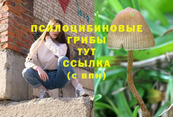 дмт Болхов