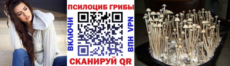 Галлюциногенные грибы MAGIC MUSHROOMS  Бугуруслан 