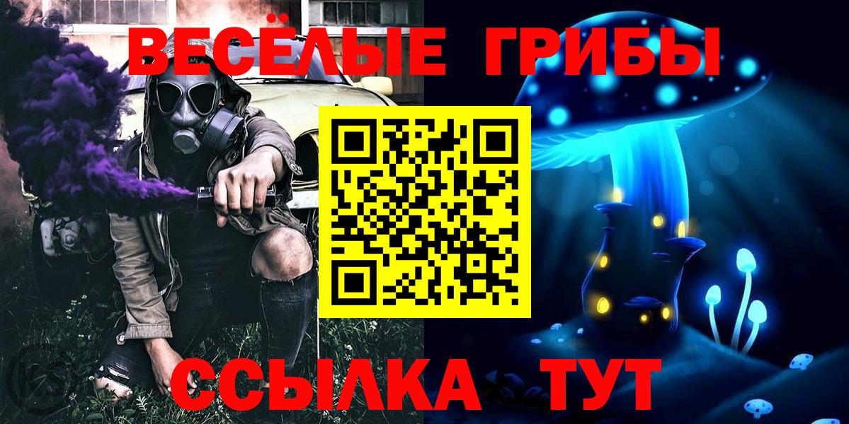 Галлюциногенные грибы Cubensis  Вход с VPN  Бугуруслан 