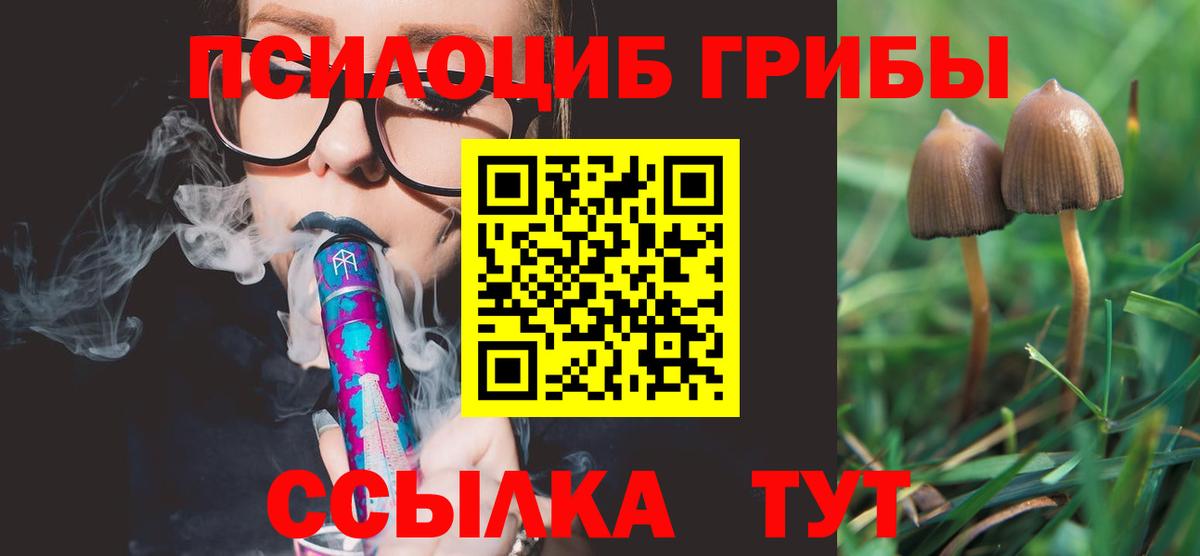Псилоцибиновые грибы Magic Shrooms Бугуруслан